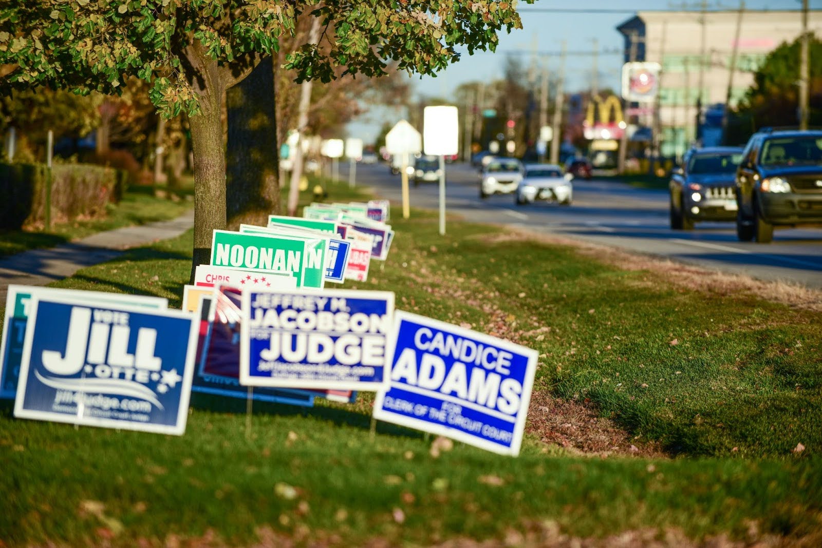 Political Yard Signs along road