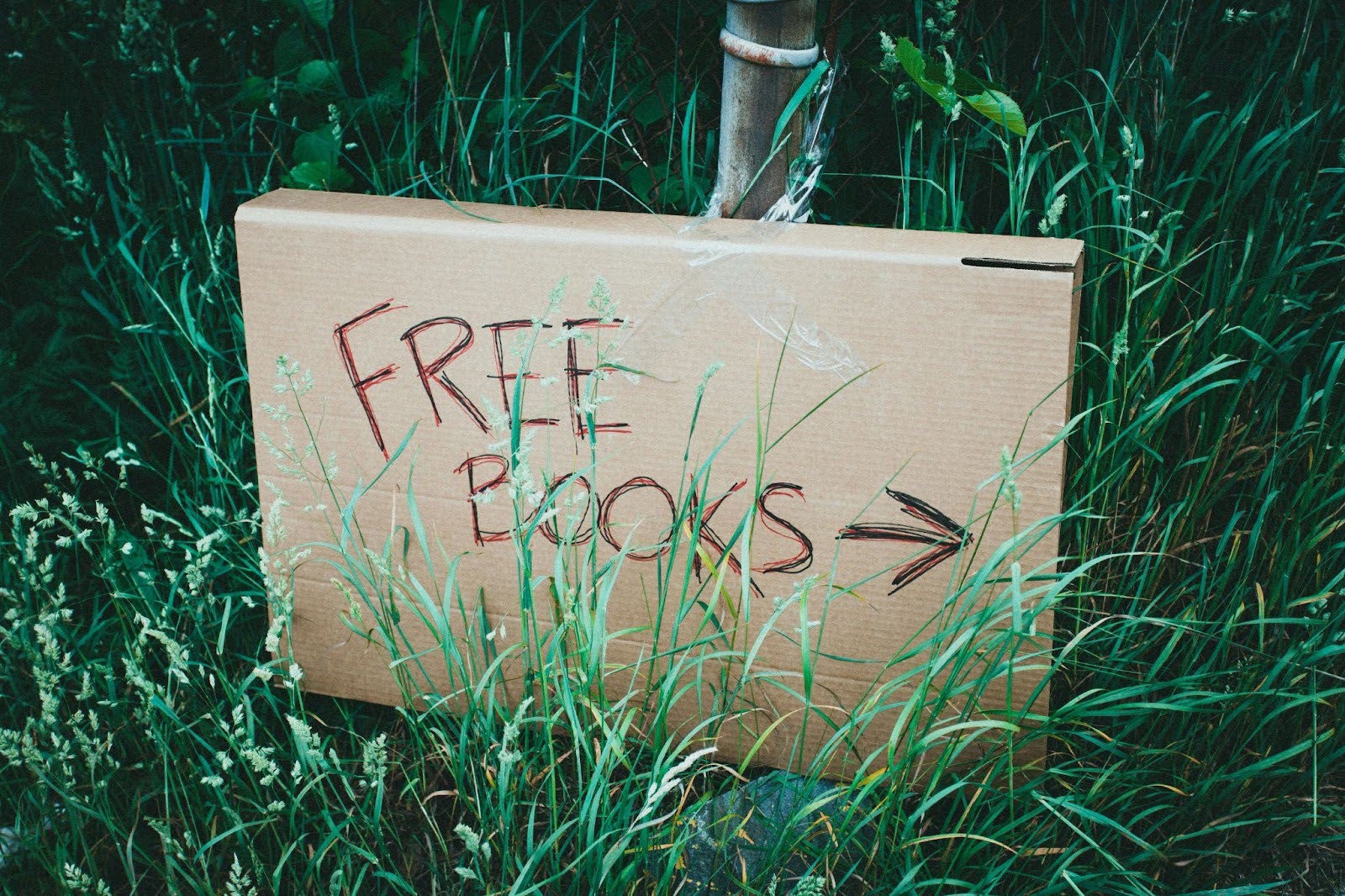 A cardboard sign advertising free books