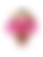 Custom Big Head Cutouts Multiple Sizes Party Glass