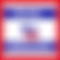 Custom Outdoor Yard Signs Multiple Sizes Vote Proud Democrat