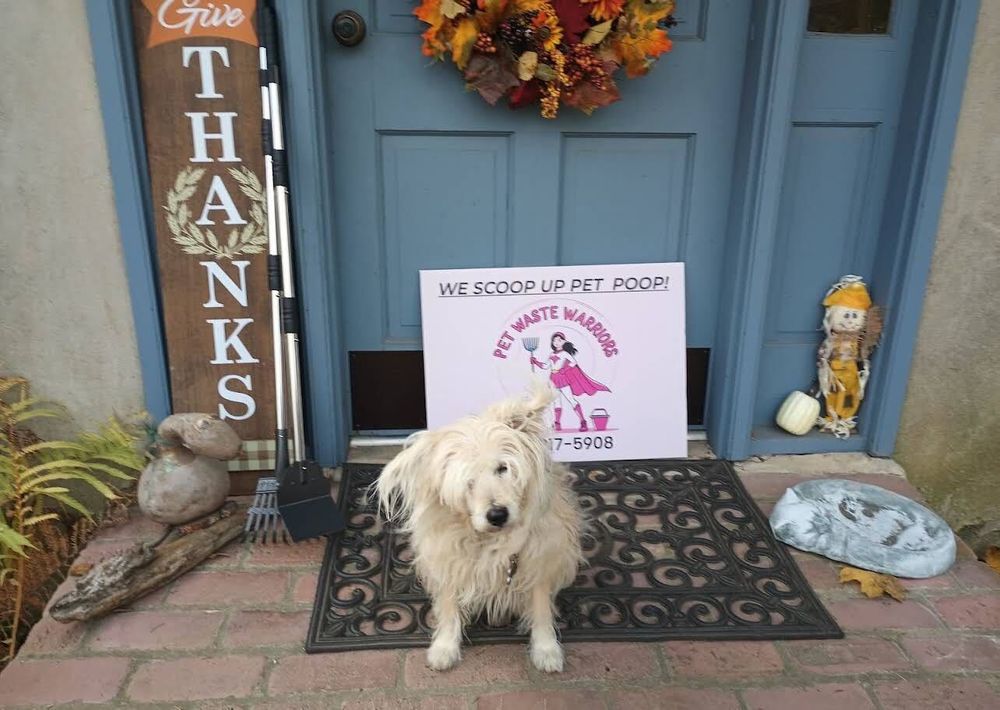 customer photos of yard sign plus