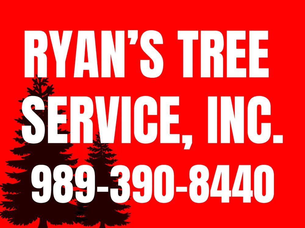 customer photos of yard sign plus