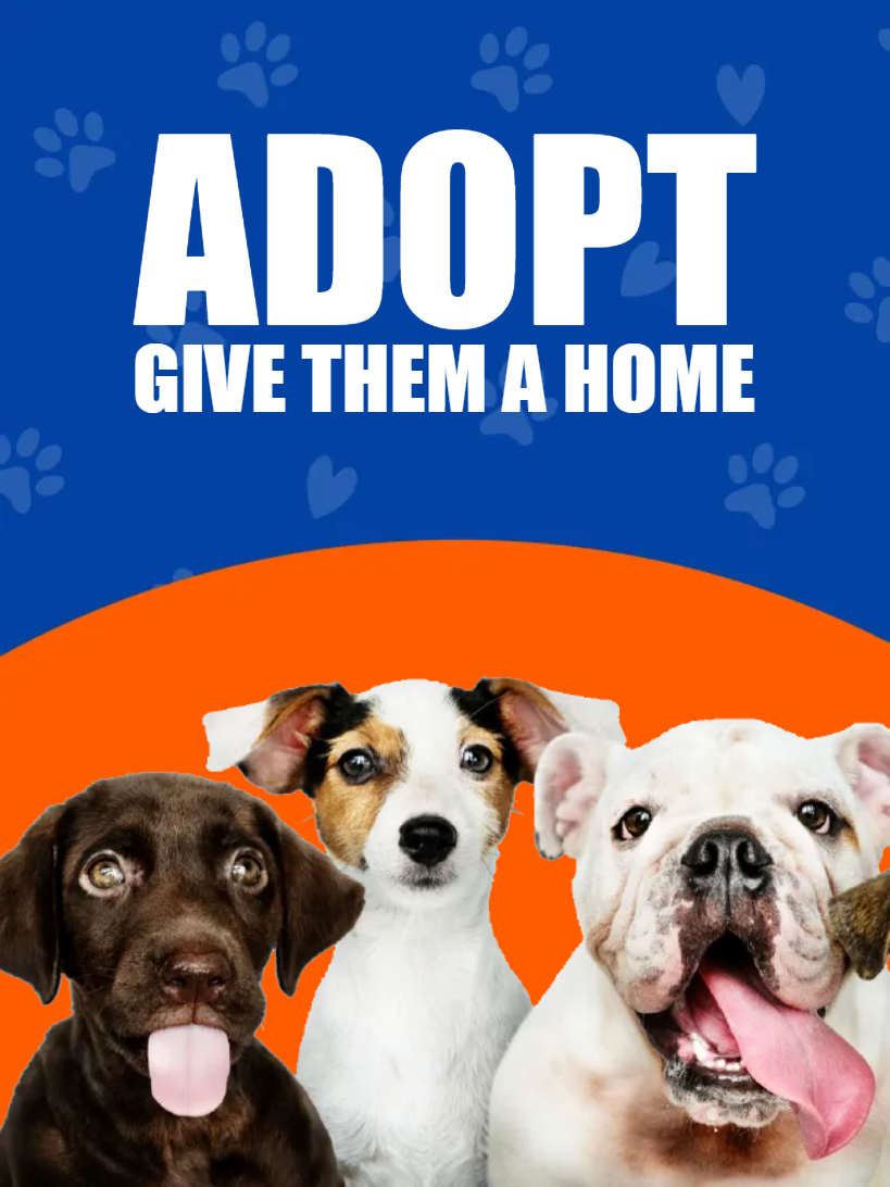 Custom Outdoor Yard Signs Multiple Sizes Give Them  Home