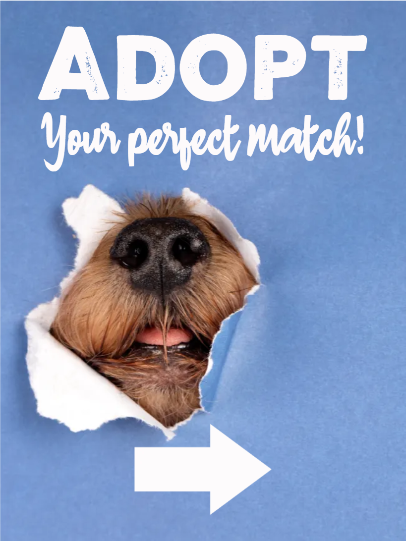 Custom Outdoor Yard Signs Multiple Sizes Your Perfect Match