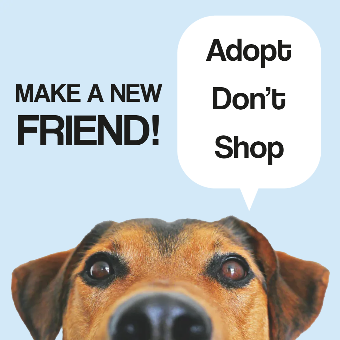Custom Outdoor Yard Signs Multiple Sizes Make New Friend