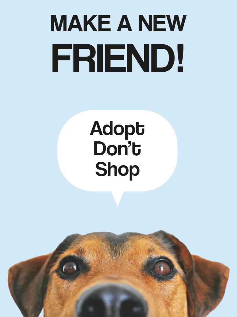 Custom Outdoor Yard Signs Multiple Sizes Make New Friend