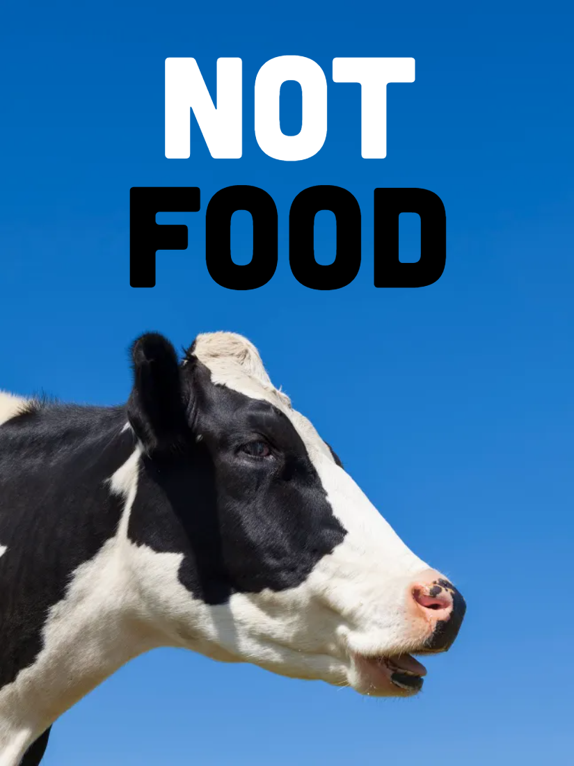 Custom Outdoor Yard Signs Multiple Sizes Not Food