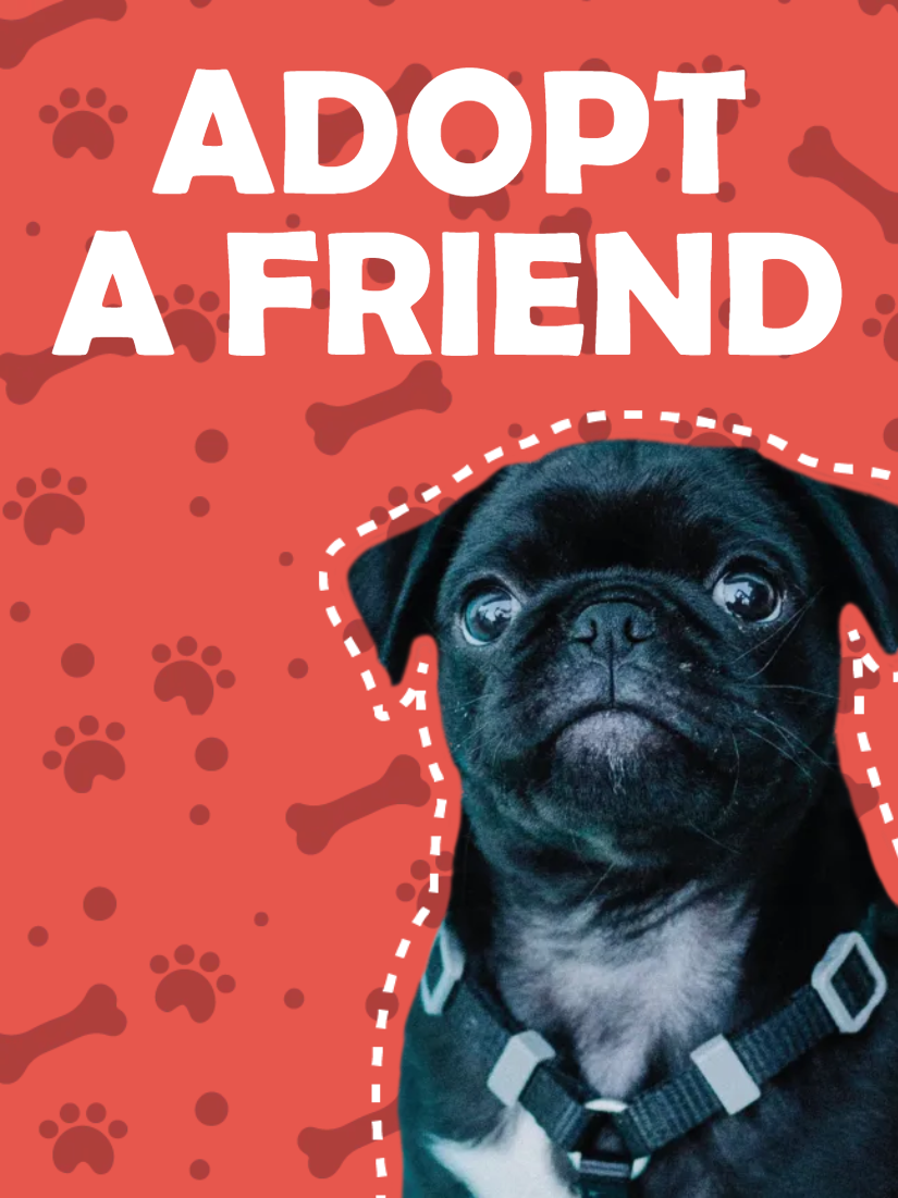 Custom Outdoor Yard Signs Multiple Sizes Adopt Friend