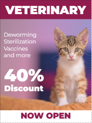 Custom Outdoor Yard Signs Multiple Sizes Veterinary