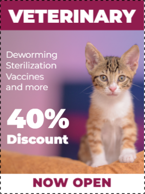 Custom Outdoor Yard Signs Multiple Sizes Veterinary