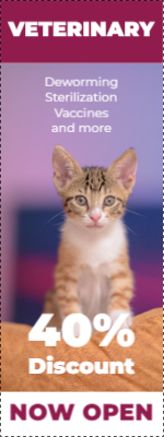 Custom Outdoor Yard Signs Multiple Sizes Veterinary