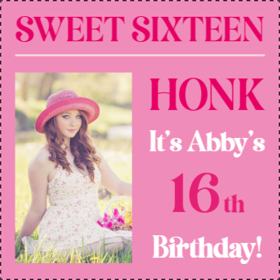 Custom Outdoor Yard Signs Multiple Sizes Sweet Sixteen