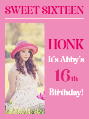 Custom Outdoor Yard Signs Multiple Sizes Sweet Sixteen