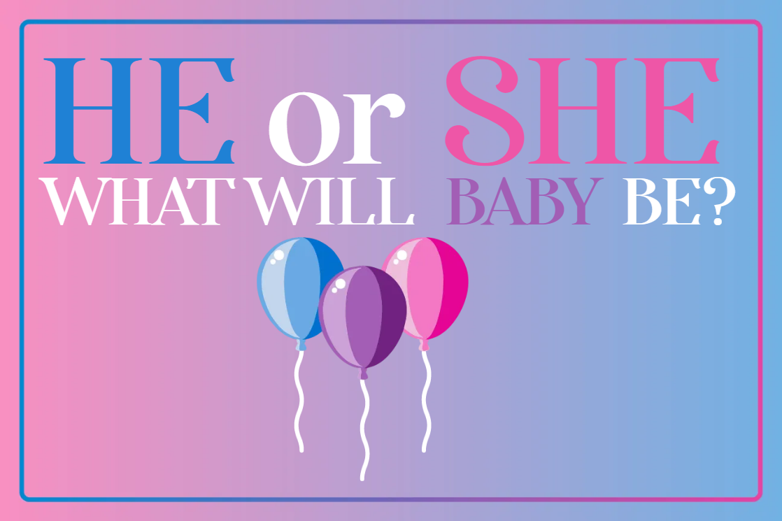 Custom Outdoor Yard Signs Multiple Sizes What Will Baby Be