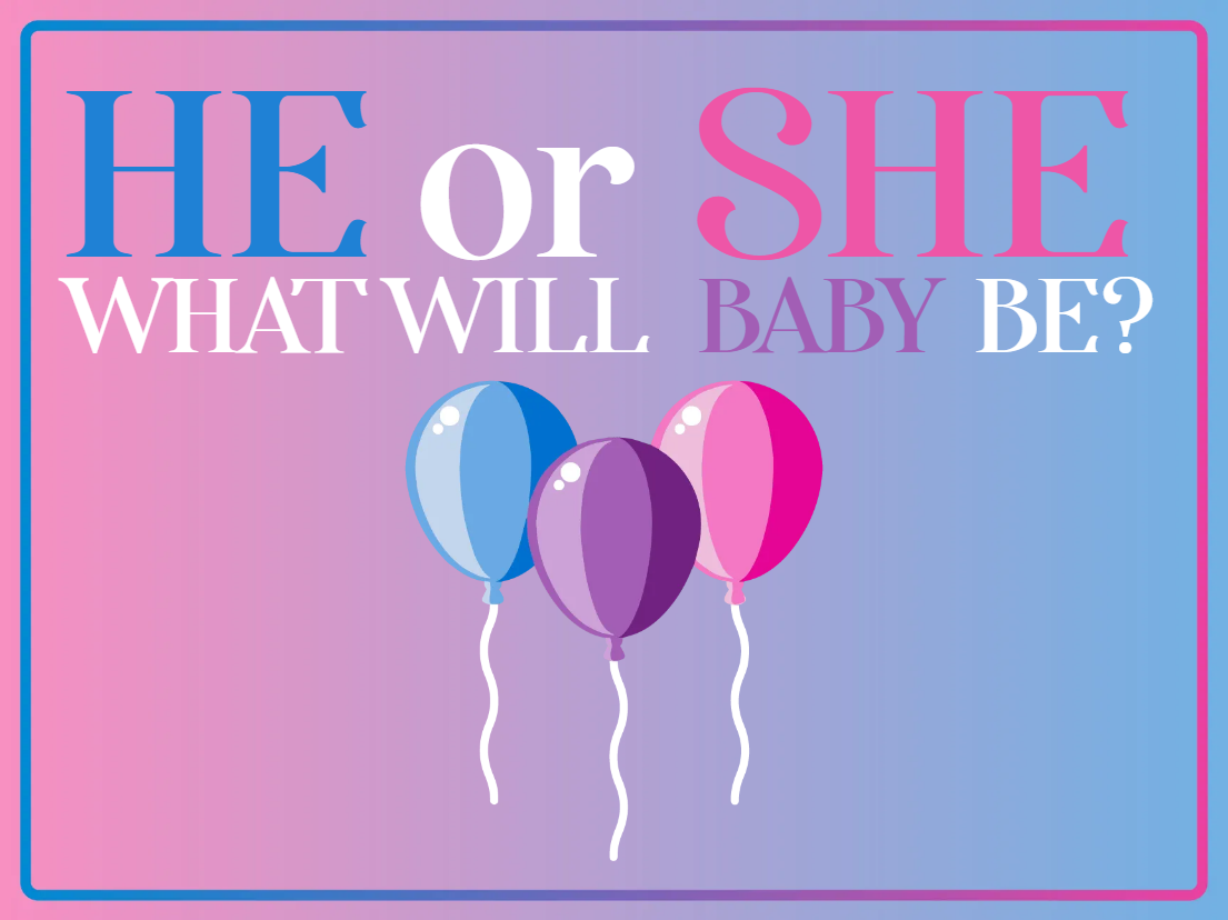 Custom Outdoor Yard Signs Multiple Sizes What Will Baby Be