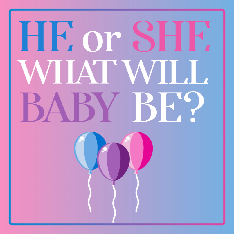 Custom Outdoor Yard Signs Multiple Sizes What Will Baby Be