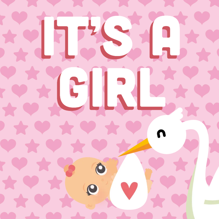 Custom Outdoor Yard Signs Multiple Sizes Its A Girl