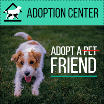 Custom Outdoor Yard Signs Multiple Sizes  Adoption Center
