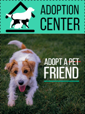Custom Outdoor Yard Signs Multiple Sizes  Adoption Center