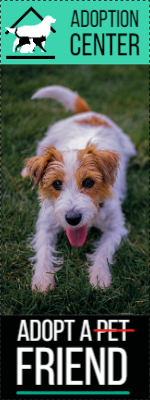 Custom Outdoor Yard Signs Multiple Sizes  Adoption Center