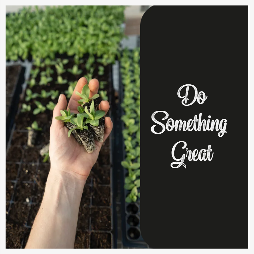 Custom Outdoor Yard Signs Multiple Sizes  Do Something Great