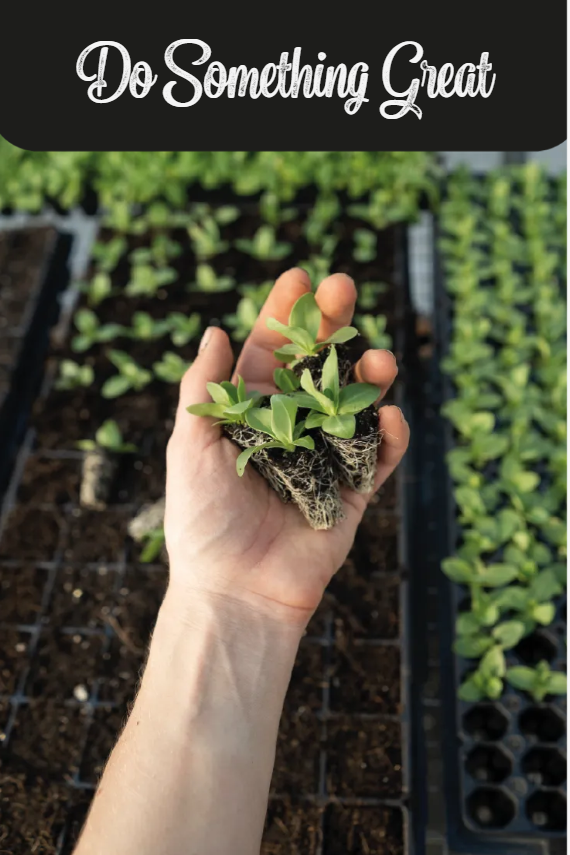 Custom Outdoor Yard Signs Multiple Sizes  Do Something Great