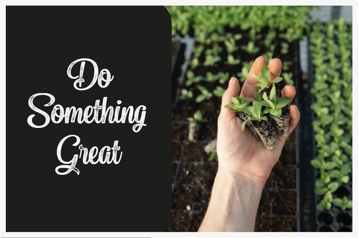 Custom Outdoor Yard Signs Multiple Sizes  Do Something Great