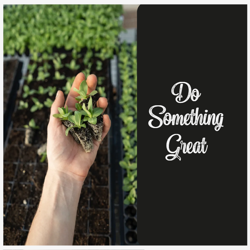 Custom Outdoor Yard Signs Multiple Sizes  Do Something Great