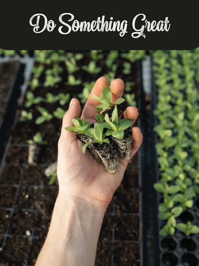 Custom Outdoor Yard Signs Multiple Sizes  Do Something Great