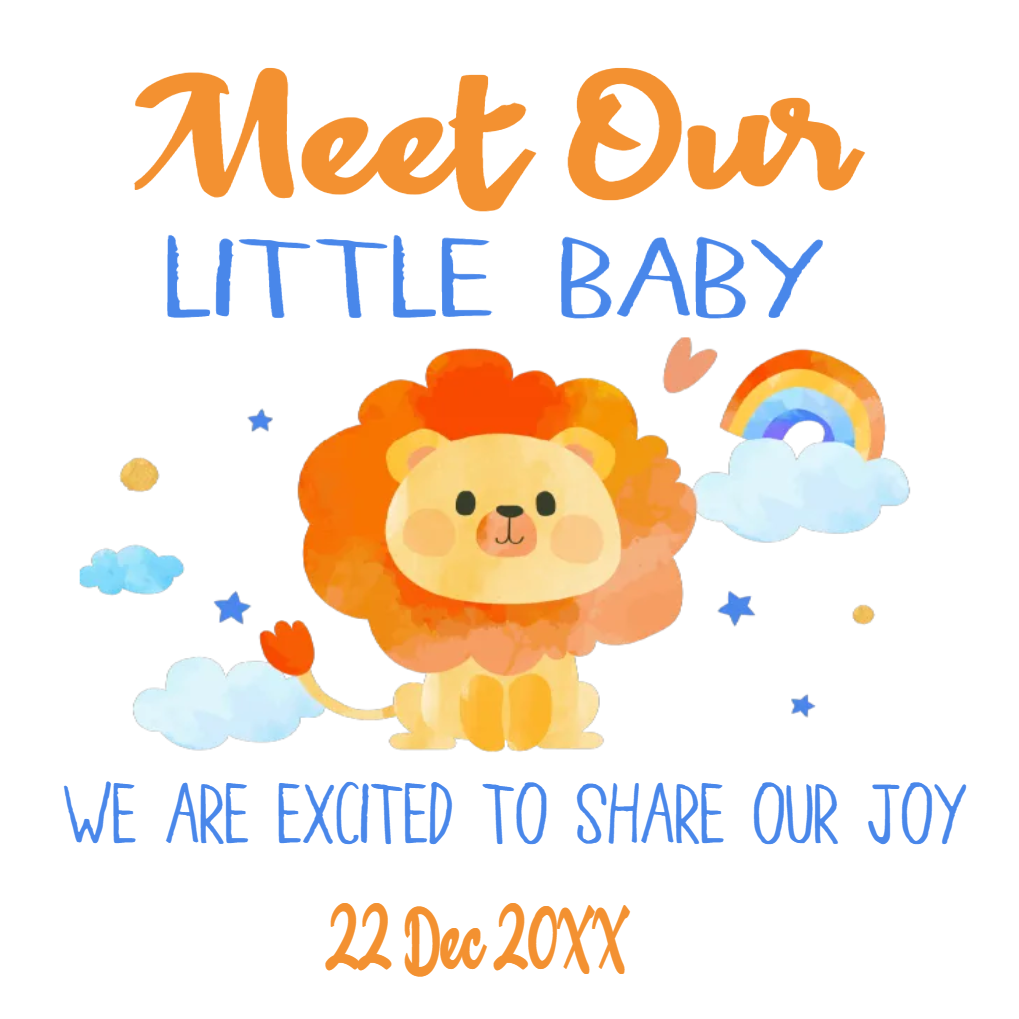 Custom Outdoor Yard Signs Multiple Sizes Meet Our Little Baby