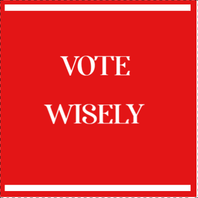Custom Outdoor Yard Signs Multiple Sizes Vote Wisely