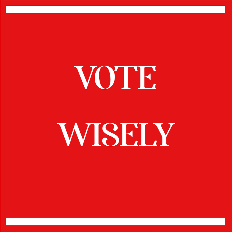 Custom Outdoor Yard Signs Multiple Sizes Vote Wisely