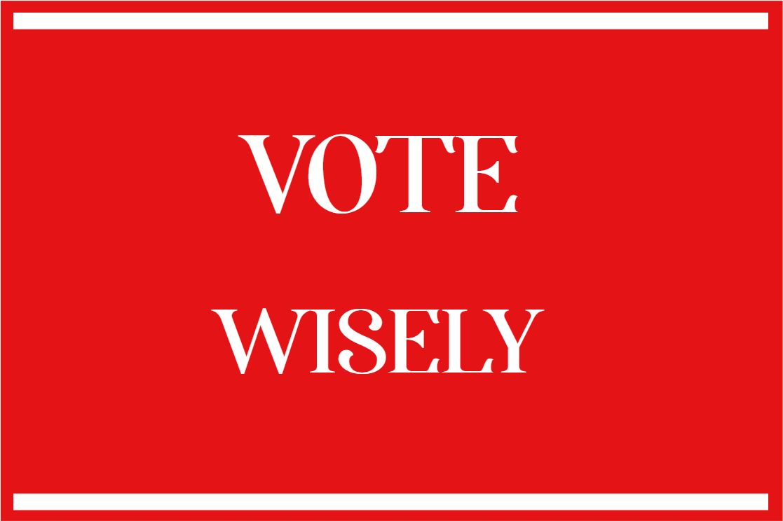 Custom Outdoor Yard Signs Multiple Sizes Vote Wisely
