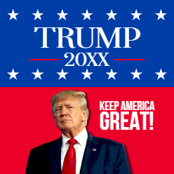 24x24