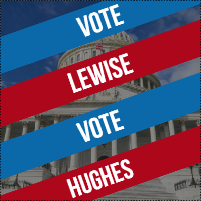 Custom Outdoor Yard Signs Multiple Sizes Vote Lewise Hughes