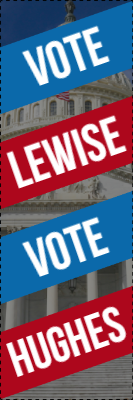 Custom Outdoor Yard Signs Multiple Sizes Vote Lewise Hughes