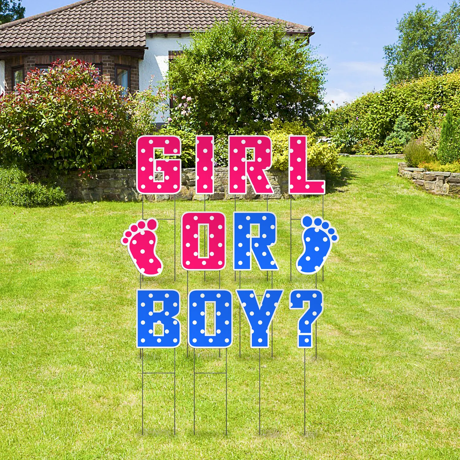 Custom Outdoor Yard Signs Multiple Sizes Pre-Packed Boy Or Girl?