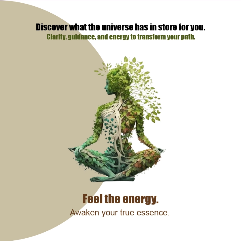 Custom Outdoor Yard Signs Multiple Sizes Feel the Energy