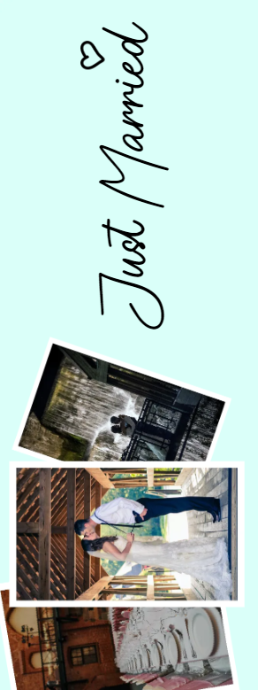 Custom Outdoor Yard Signs Multiple Sizes Just Married