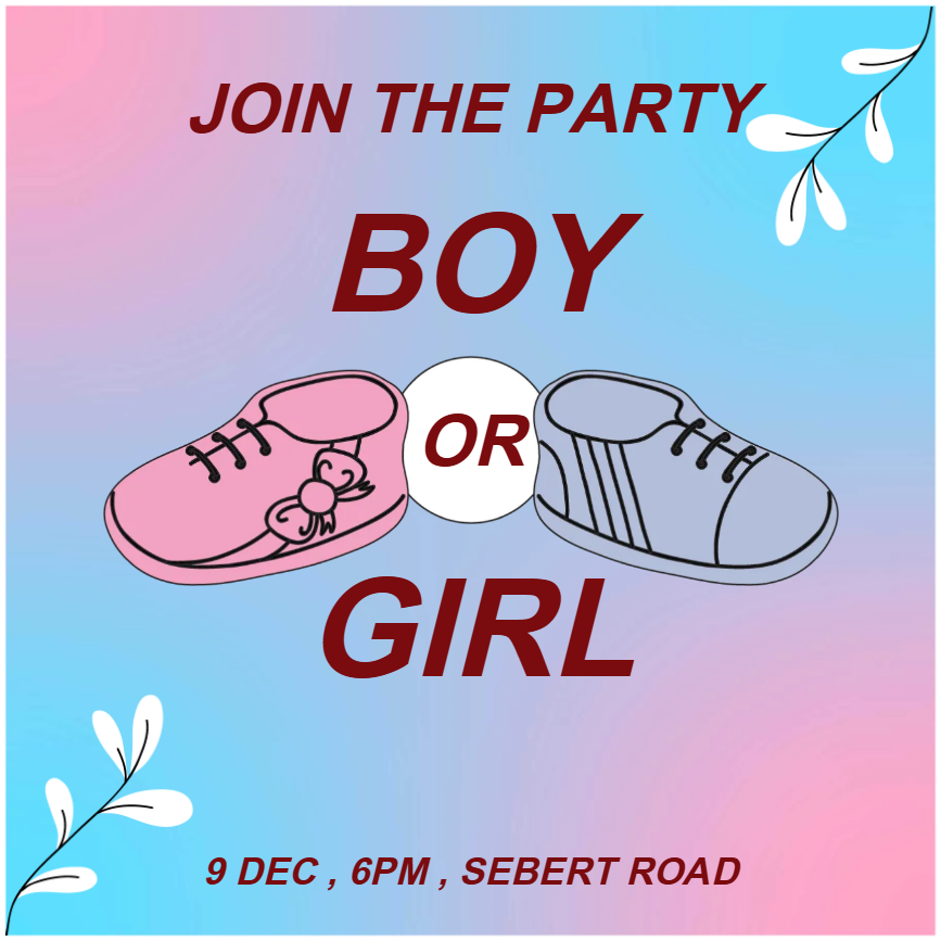 Custom Outdoor Yard Signs Multiple Sizes Join the Party Boy or Girl