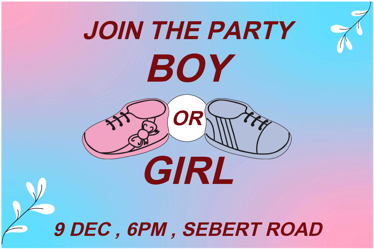 Custom Outdoor Yard Signs Multiple Sizes Join the Party Boy or Girl