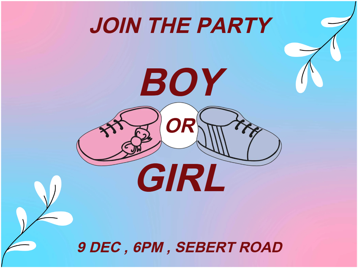 Custom Outdoor Yard Signs Multiple Sizes Join the Party Boy or Girl