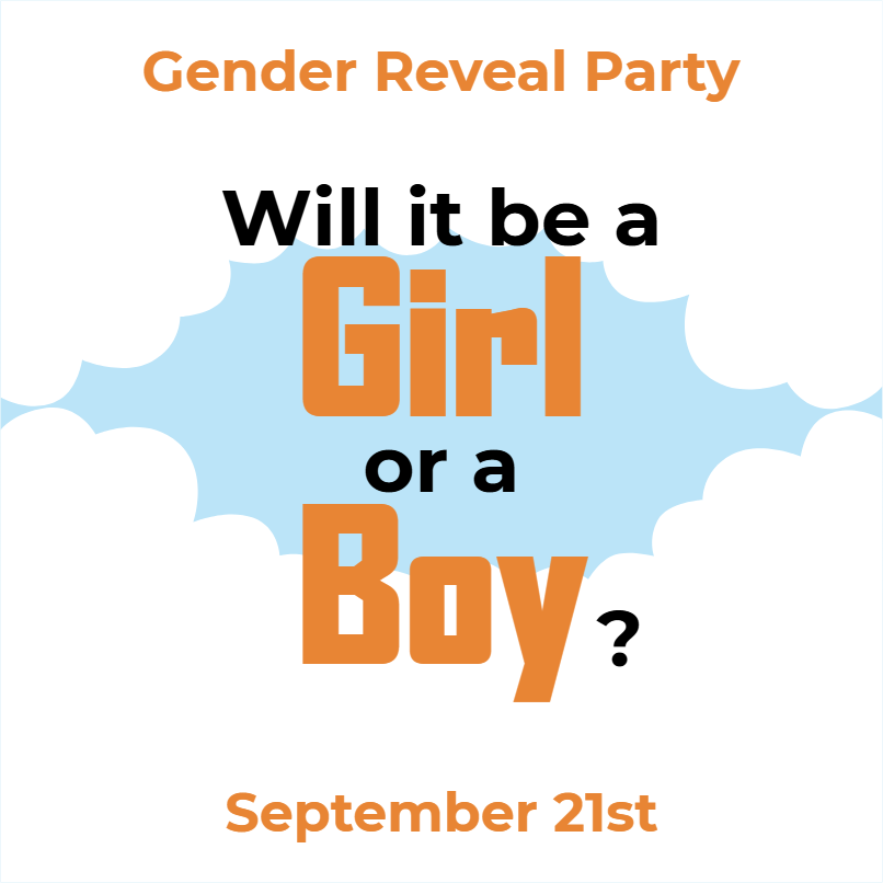 Custom Outdoor Yard Signs Multiple Sizes Will It Be a Girl or a Boy?
