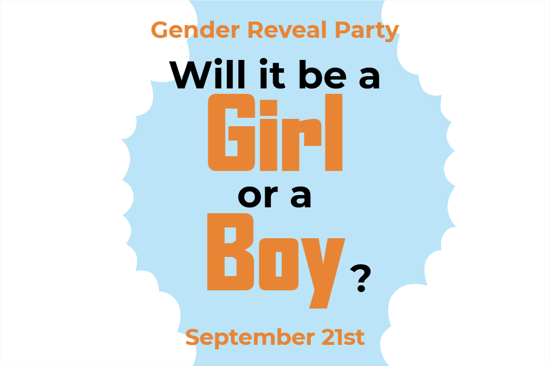 Custom Outdoor Yard Signs Multiple Sizes Will It Be a Girl or a Boy?