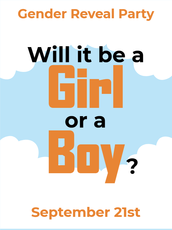 Custom Outdoor Yard Signs Multiple Sizes Will It Be a Girl or a Boy?