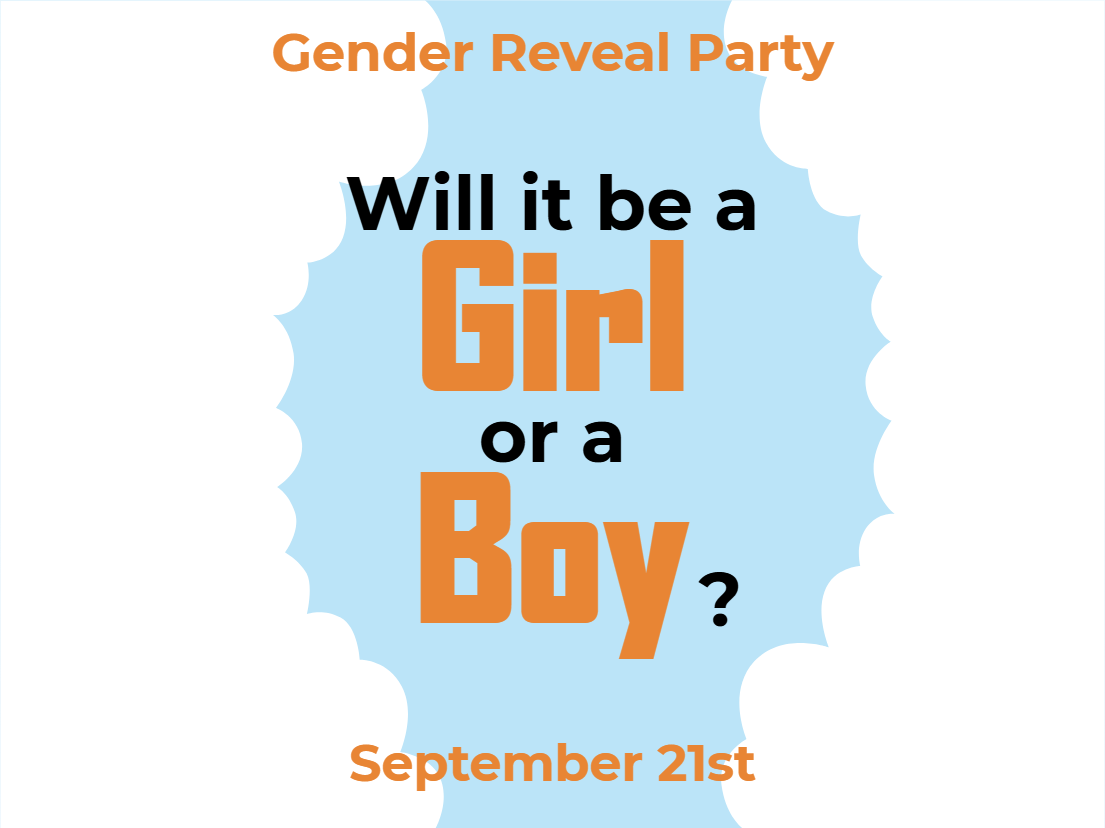 Custom Outdoor Yard Signs Multiple Sizes Will It Be a Girl or a Boy?