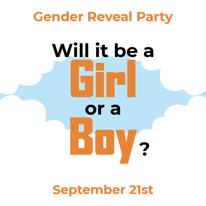 Custom Outdoor Yard Signs Multiple Sizes Will It Be a Girl or a Boy?