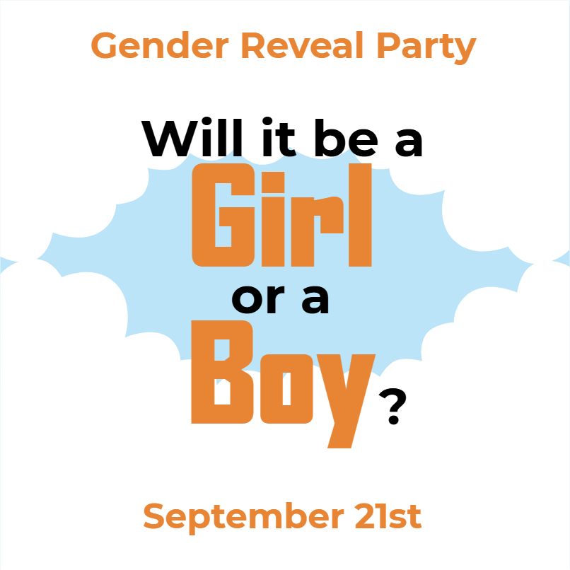 Custom Outdoor Yard Signs Multiple Sizes Will It Be a Girl or a Boy?