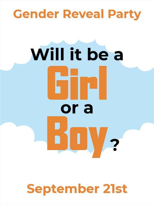 Custom Outdoor Yard Signs Multiple Sizes Will It Be a Girl or a Boy?