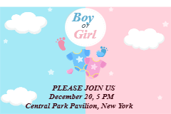 Custom Outdoor Yard Signs Multiple Sizes Pop Girl or Boy ?